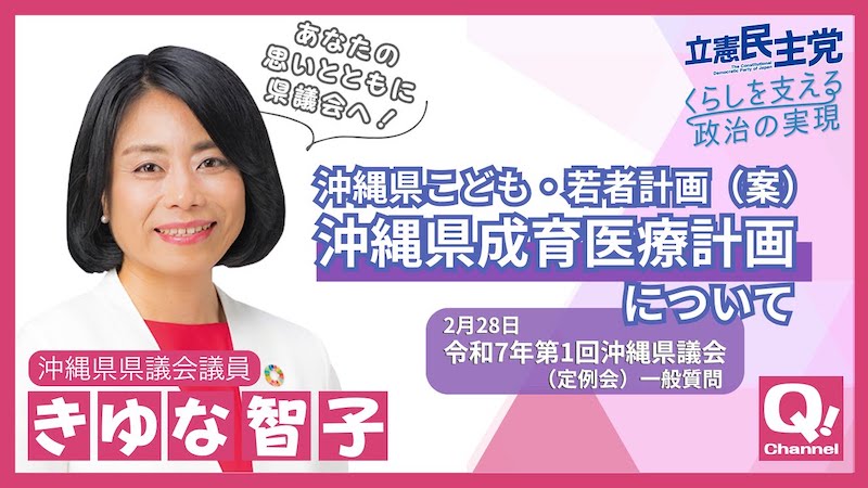 沖縄県こども・若者計画（案）「沖縄県成育医療計画」について